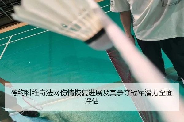 德约科维奇法网伤情恢复进展及其争夺冠军潜力全面评估